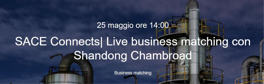 SACE Connects. Live business matching con Shandong Chambroad